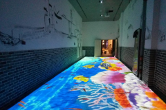 互動(dòng)投影的種類